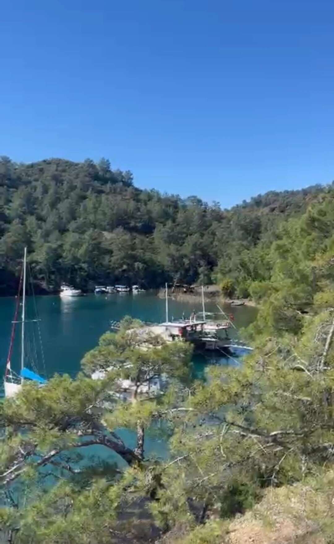 Muğla Büyükşehir Belediye Başkanı Ahmet Aras'tan Göcek Osmanağa Koyu'ndaki İnşaata Tepki 3